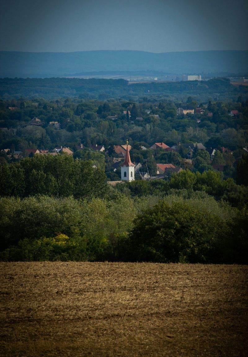 趣味でストレス解消！