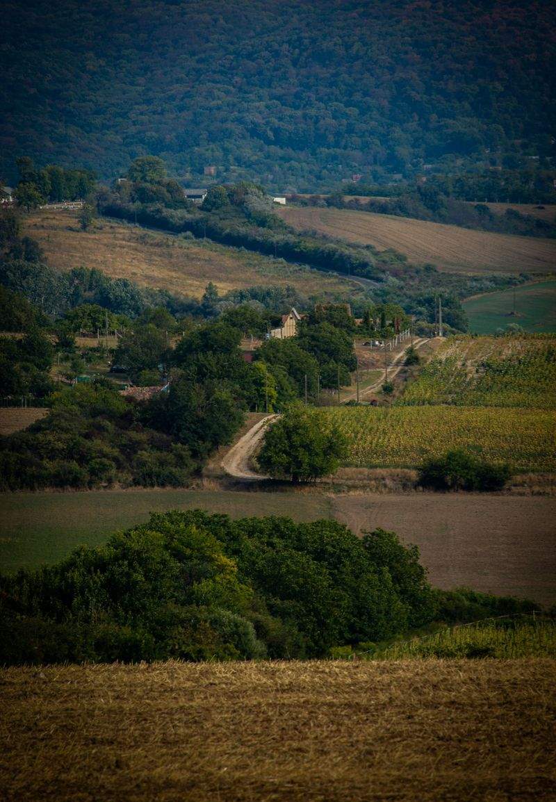 遊びの匠株式会社